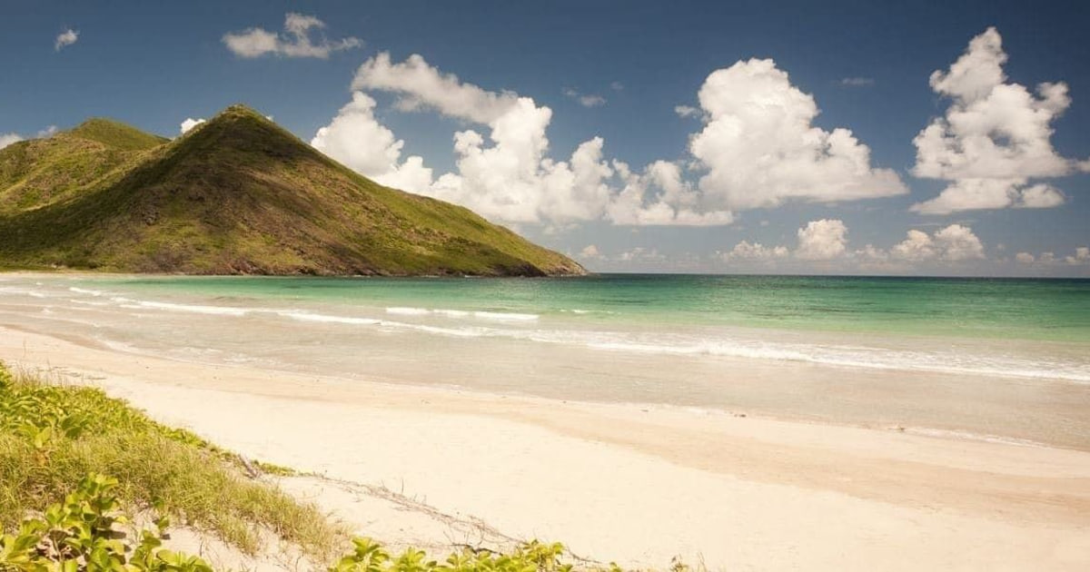Palm-lined beach on the Caribbean coast of St. Kitts