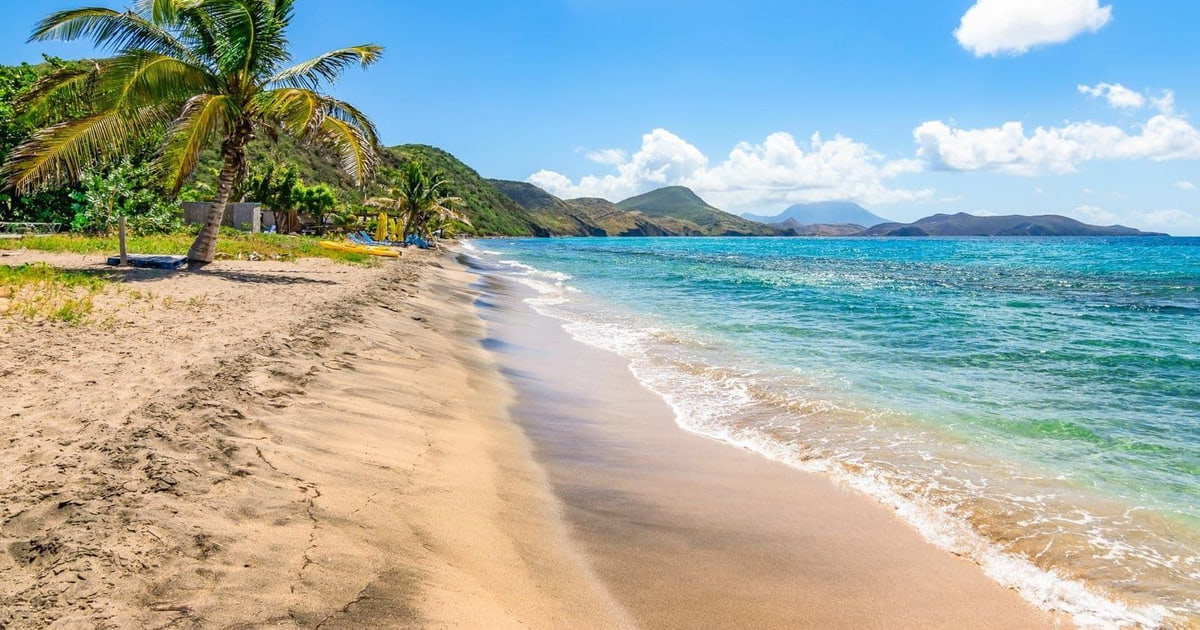 Palms above the sand on a St. Kitts beach
